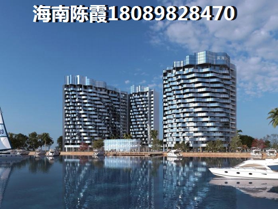 海南君悦府鸟瞰图