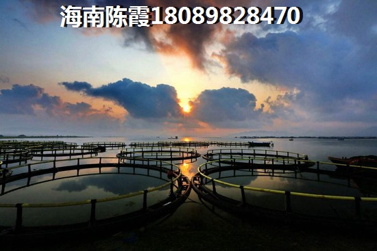 天懋中央大道升值的最大因素是什么？