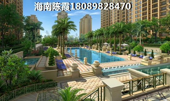 海南望海金豪鸟瞰图