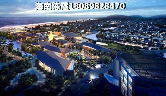 华诺国际户型图