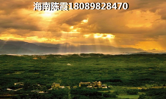 城投椰风水韵北区楼盘热销的原因 城投椰风水韵北区楼盘热销的原因