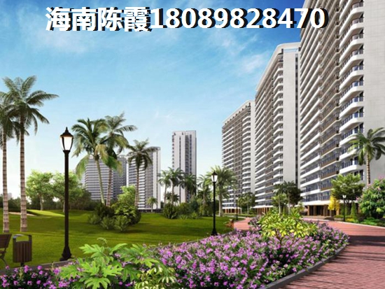 海南金外滩
