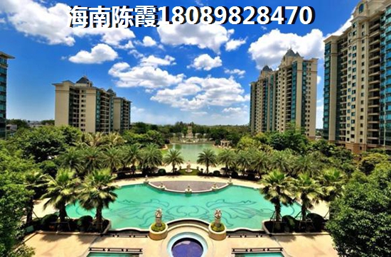 海南椰海新城三期棕榈园