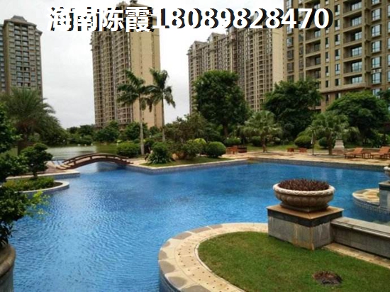 海南鼎尚狮子座