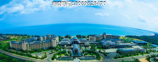 天山丽田VS海湾雨林分析对比