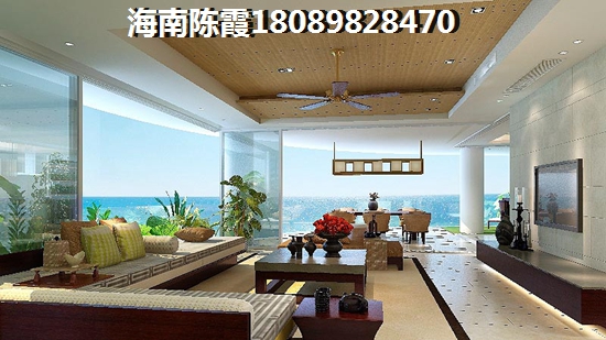 海南中商海花东岸