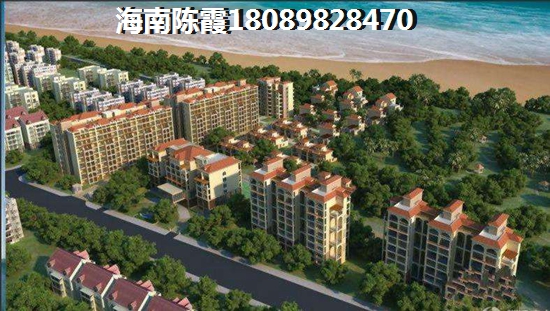 海南顺泽福湾