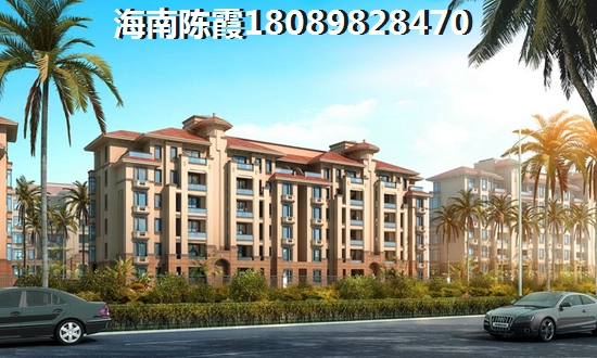 中南西海岸如何
