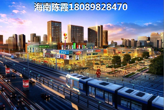 >2021万宁买房子解读