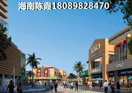 >2021陵水买房解读