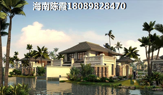 今年海口观澜湖楼盘还有touzi价纸吗？