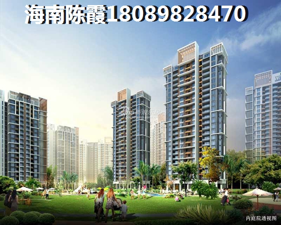 现在珠江澄品醉新价格多少？4