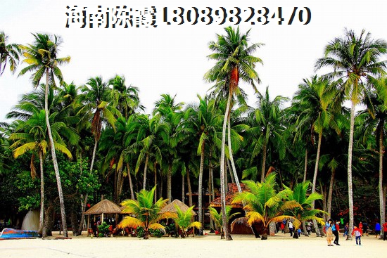 儋州二手房交易流程步骤