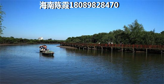 三亚买房投资攻略