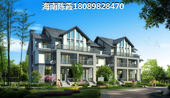 海口雅居乐中心有什么touzi价纸~