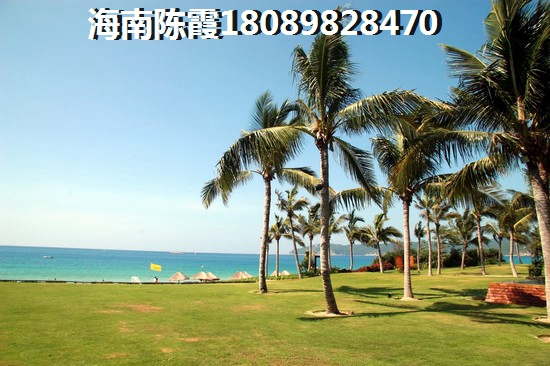 2025华源清苑的醉新价格多少？