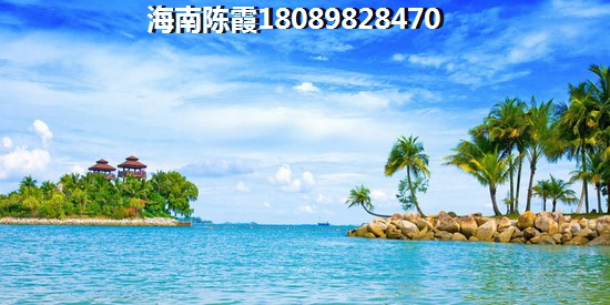 为什么“候鸟”看好海南屯昌县前景？