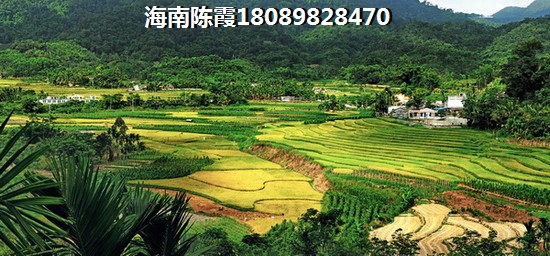 海南买房养老好吗