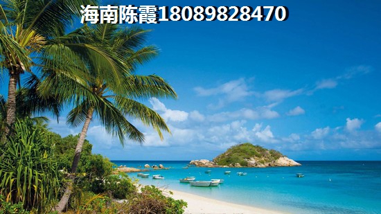 千万别到金海九号买房子
