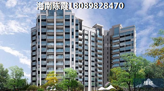 海南新楼盘哪个地段好